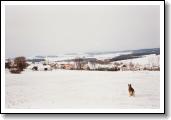 Zimní pohled na část obce - rok 1995